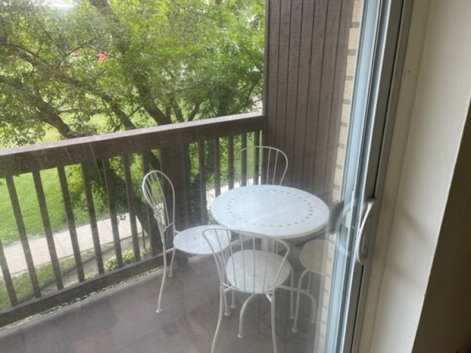 2226 South Goebbert Road, Unit 270 Arlington Heights, IL 60005 - Photo 19 of 19 a view from deck with patio