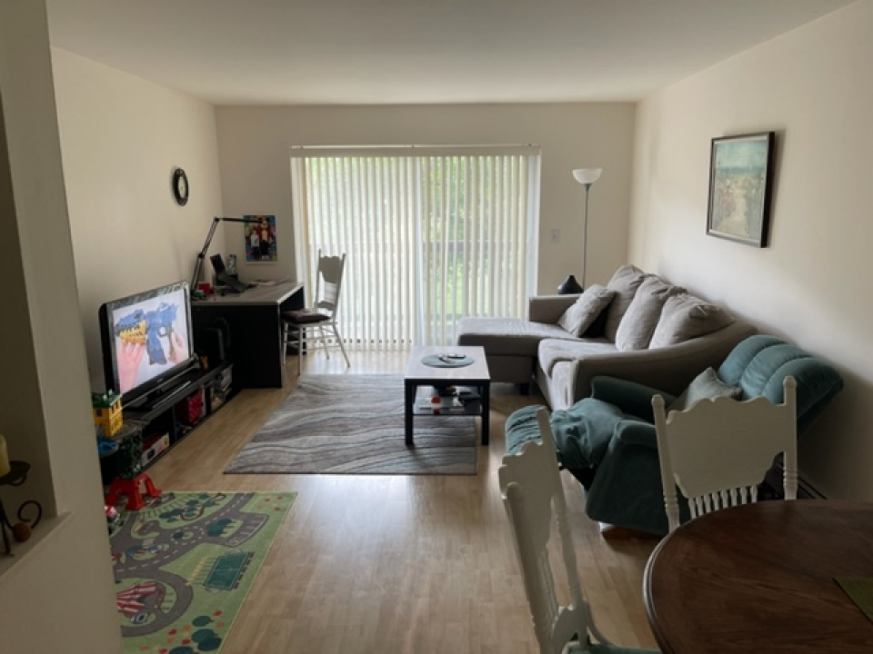 2226 South Goebbert Road, Unit 270 Arlington Heights, IL 60005 - Photo 3 of 19 a living room with furniture and a flat screen tv