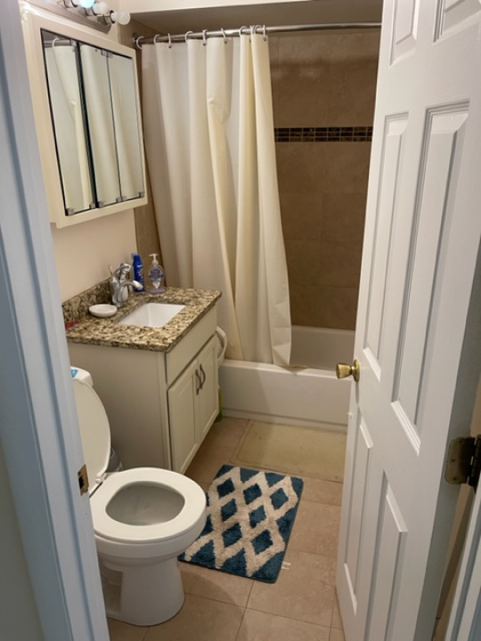2226 South Goebbert Road, Unit 270 Arlington Heights, IL 60005 - Photo 10 of 19 a bathroom with a sink a toilet and a mirror