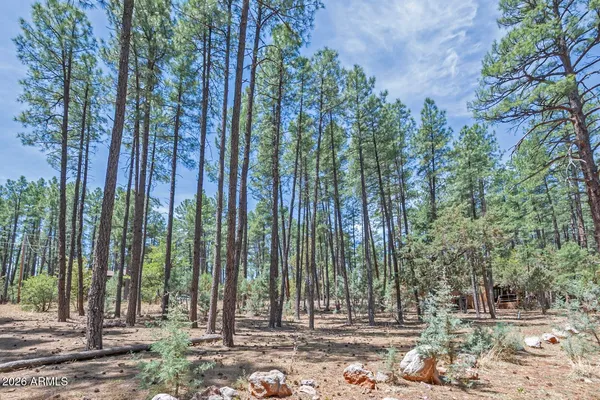 $105,000 | Lot 138 Marcy Way, Unit 138, Pine, AZ 85544
