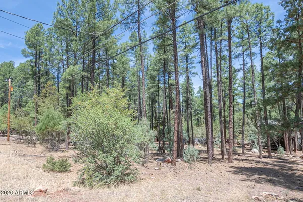 $105,000 | Lot 138 Marcy Way, Unit 138, Pine, AZ 85544