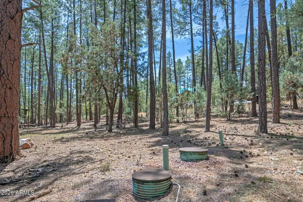 $105,000 | Lot 138 Marcy Way, Unit 138, Pine, AZ 85544