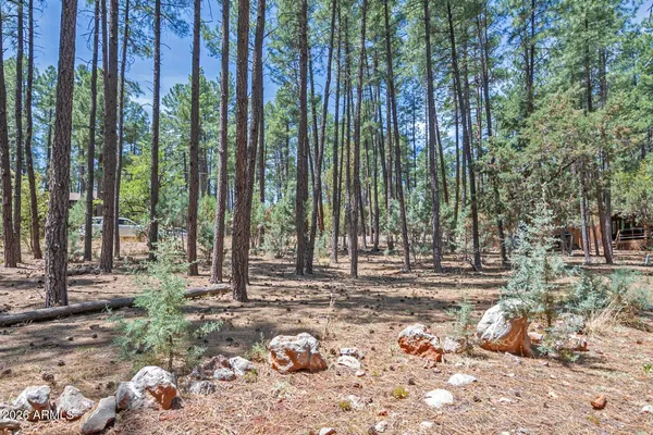 $105,000 | Lot 138 Marcy Way, Unit 138, Pine, AZ 85544