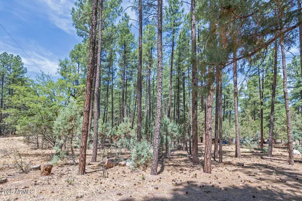 $105,000 | Lot 138 Marcy Way, Unit 138, Pine, AZ 85544