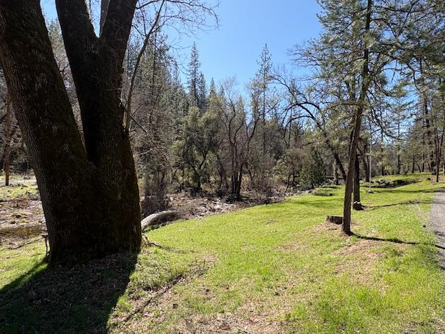 6098 Quartz Mine Road Mountain Ranch, CA 95246 - Photo 17 of 19 Gallery Image 17