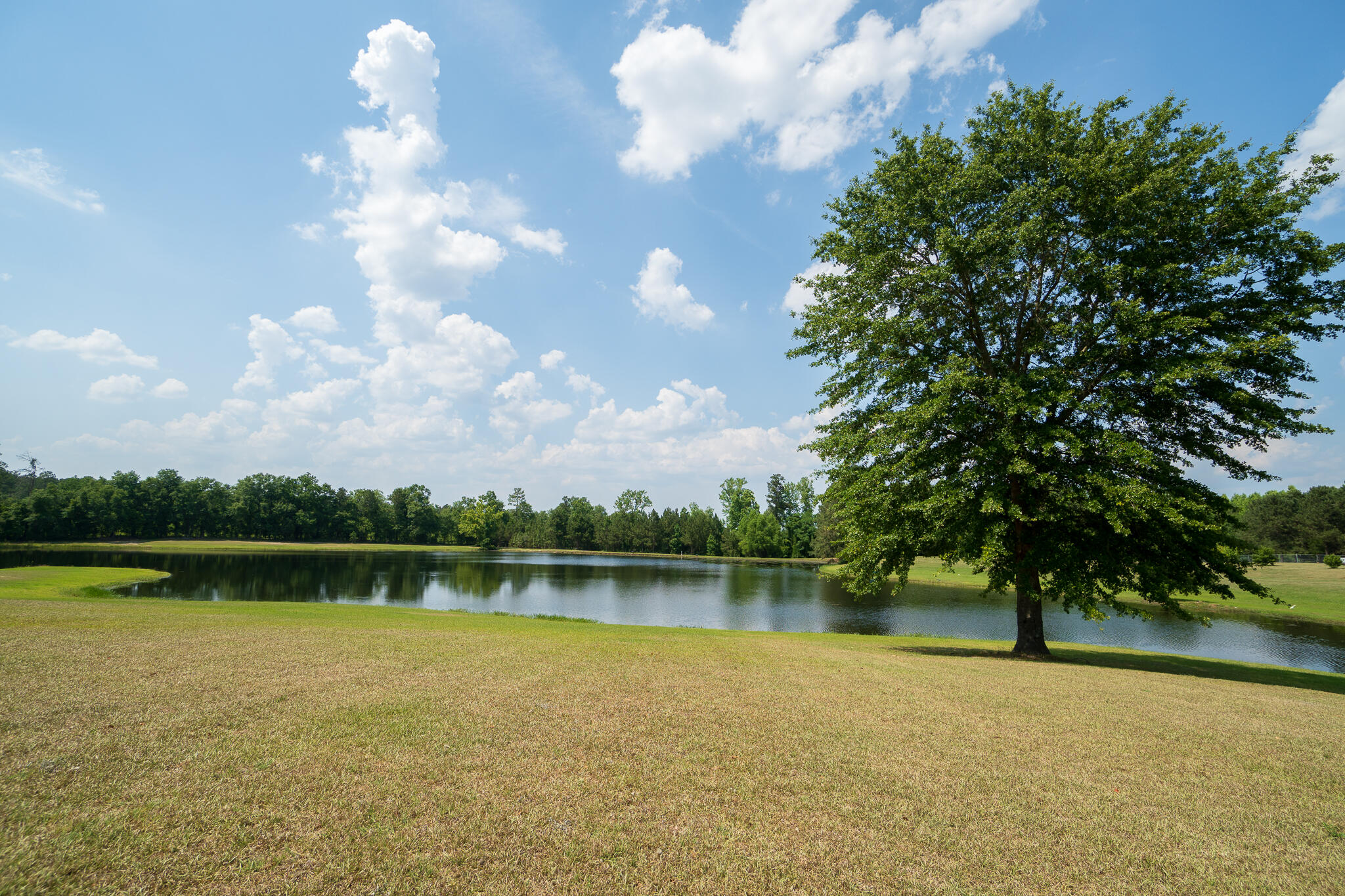 514 Bill Salley Road Orangeburg, SC 29115 - Photo 29 of 30 514 Bill Salley-42