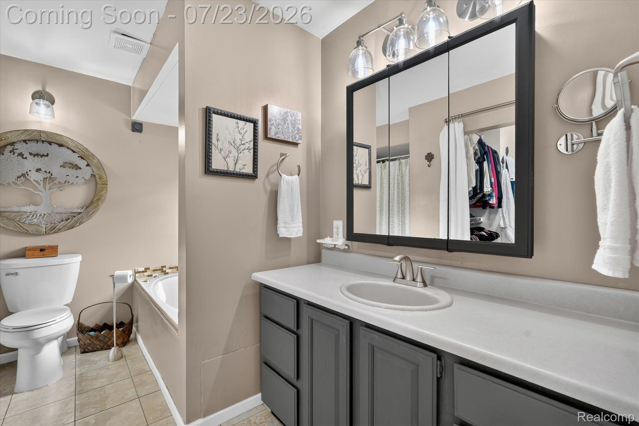 2795 Bird Road Ortonville, MI 48462 - Photo 26 of 62 Bathroom featuring a white vanity countertop, a built-in sink with a two-handle faucet, and dark-finished cabinetry
