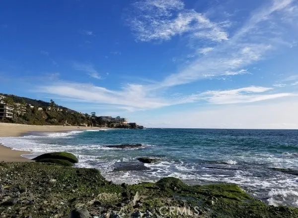 a view of trees and path along with trees
