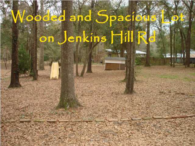 7410 Jenkins Hill Road Edisto Island, SC 29438 - Photo 2 of 12 Additional Photo