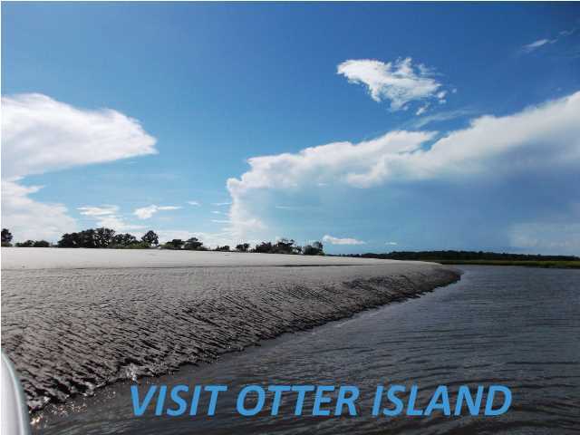 7410 Jenkins Hill Road Edisto Island, SC 29438 - Photo 12 of 12 Additional Photo