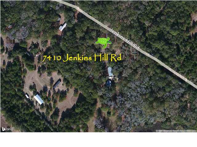 7410 Jenkins Hill Road Edisto Island, SC 29438 - Photo 4 of 12 Additional Photo