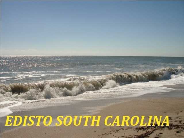 7410 Jenkins Hill Road Edisto Island, SC 29438 - Photo 8 of 12 Additional Photo