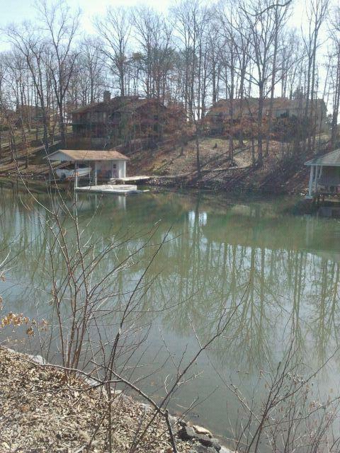 Lot 7 Wood Brook Road Moneta, VA 24121 - Photo 1 of 17 Water View
