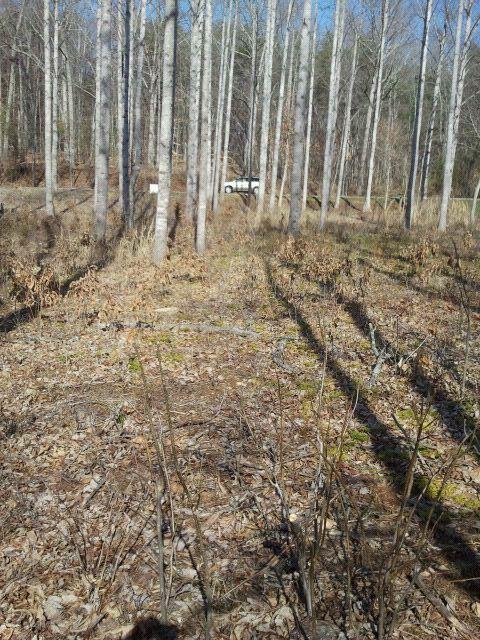 Lot 7 Wood Brook Road Moneta, VA 24121 - Photo 3 of 17 Lot view 2