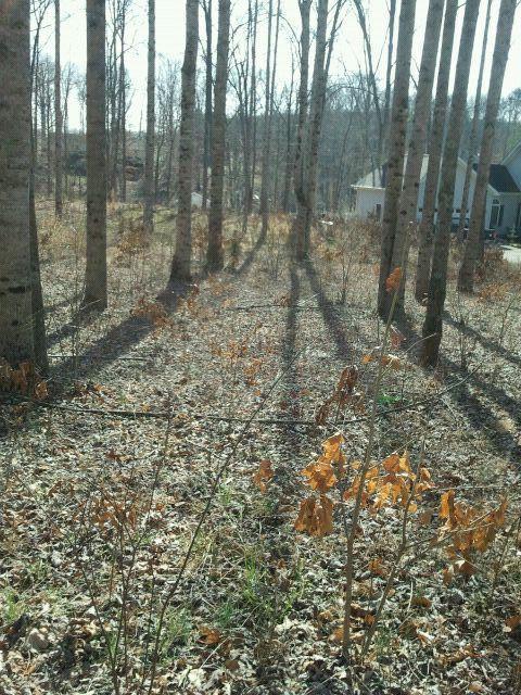 Lot 7 Wood Brook Road Moneta, VA 24121 - Photo 4 of 17 Lot view 3