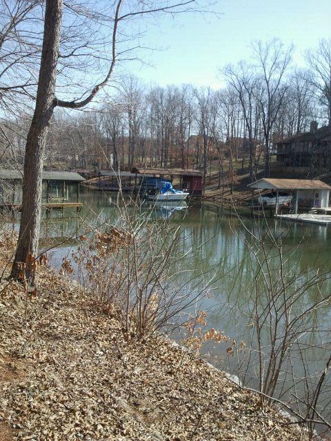 Lot 7 Wood Brook Road Moneta, VA 24121 - Photo 8 of 17 Shore View 2