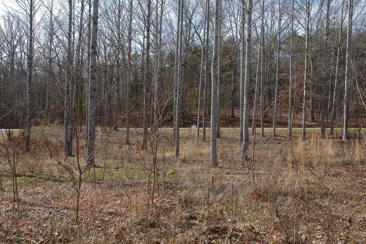 Lot 7 Wood Brook Road Moneta, VA 24121 - Photo 10 of 17 lot3
