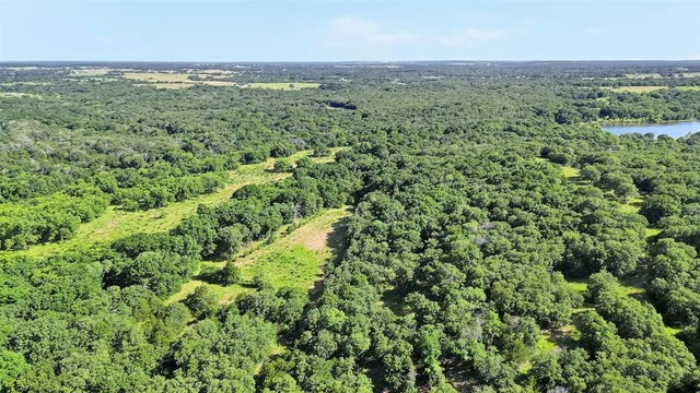 an aerial view of residential houses with outdoor space and trees