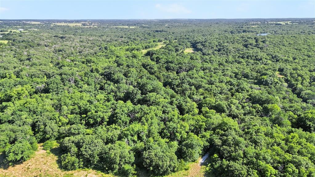 0 Fm-2383 Gainesville, TX 76240 - Photo 12 of 23 a view of a green field with lots of bushes