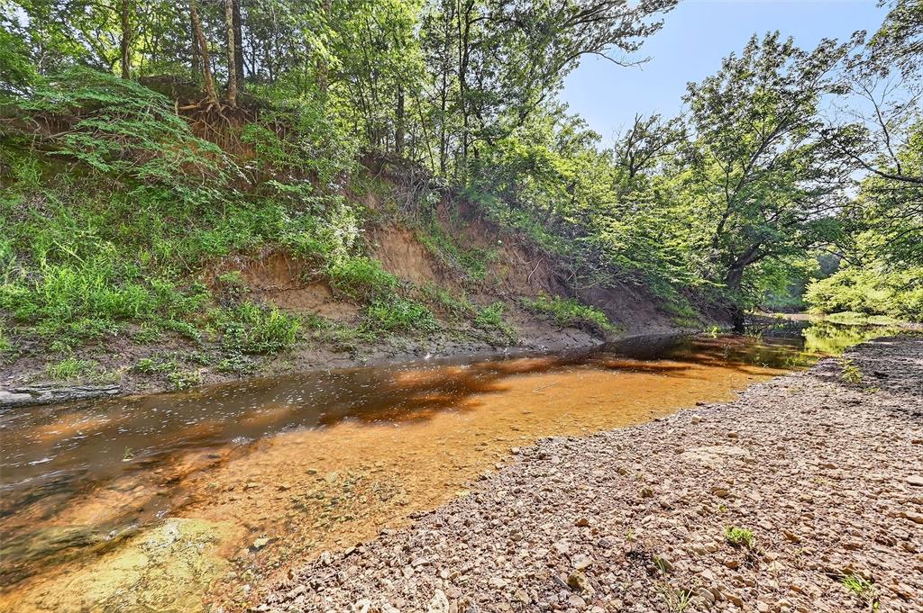 0 Fm-2383 Gainesville, TX 76240 - Photo 15 of 23 a view of a yard with a tree