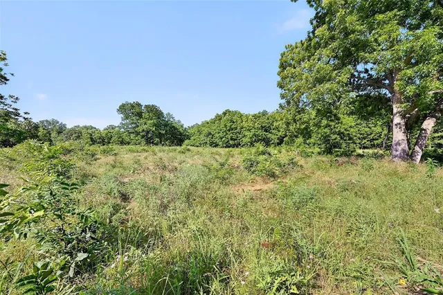a view of a field of grass and trees