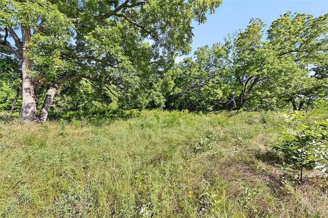 a view of a yard with a tree