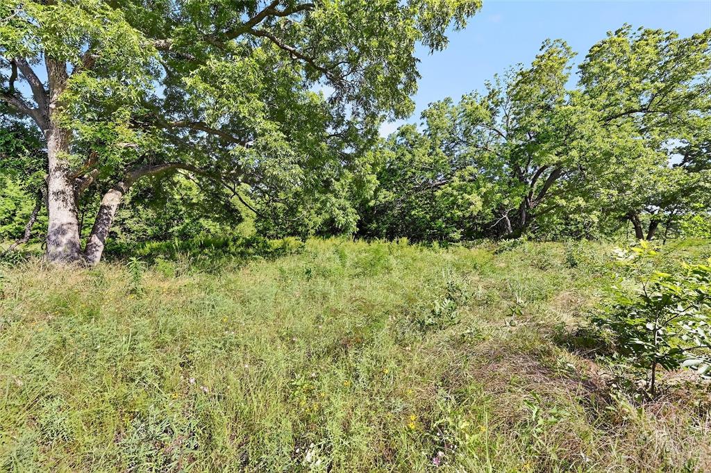 0 Fm-2383 Gainesville, TX 76240 - Photo 18 of 23 a view of a yard with a tree