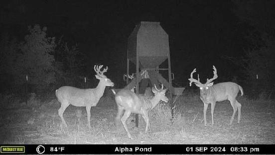 0 Fm-2383 Gainesville, TX 76240 - Photo 20 of 23 a view of a dining room with furniture