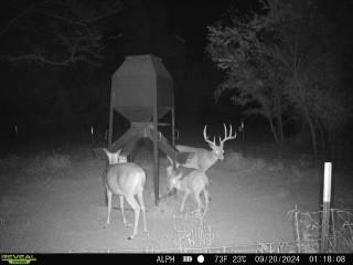 0 Fm-2383 Gainesville, TX 76240 - Photo 21 of 23 a room with lots of counter space and garden