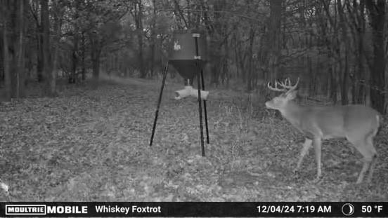 0 Fm-2383 Gainesville, TX 76240 - Photo 23 of 23 a view of a room with an outdoor space