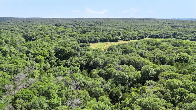 an aerial view of forest