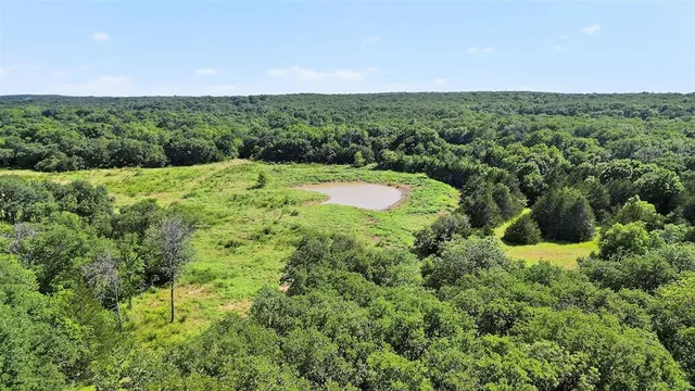 a view of a green field with lots of bushes
