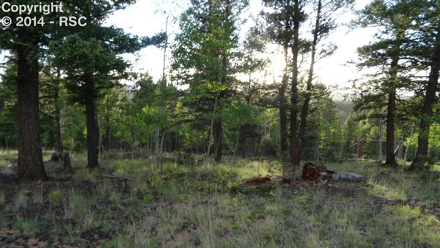 1325 Rangeview Road Divide, CO 80814 - Photo 2 of 8 Gallery Image 2
