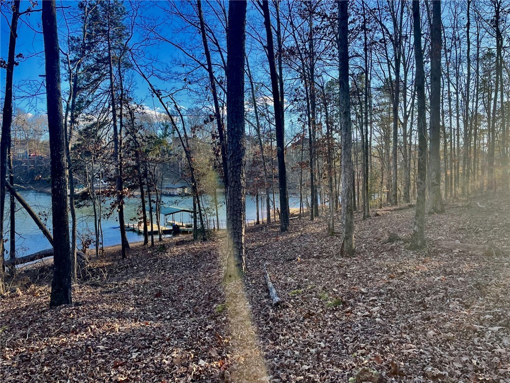 1115 Hawk Harbor Drive Anderson, SC 29625 - Photo 2 of 19