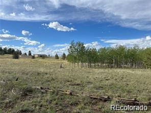 1599 Campfire Road Hartsel, CO 80449 - Photo 3 of 39 Gallery Image 3
