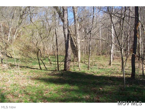 0 C Road Walker, WV 26180 - Photo 1 of 8 Gallery Image 1