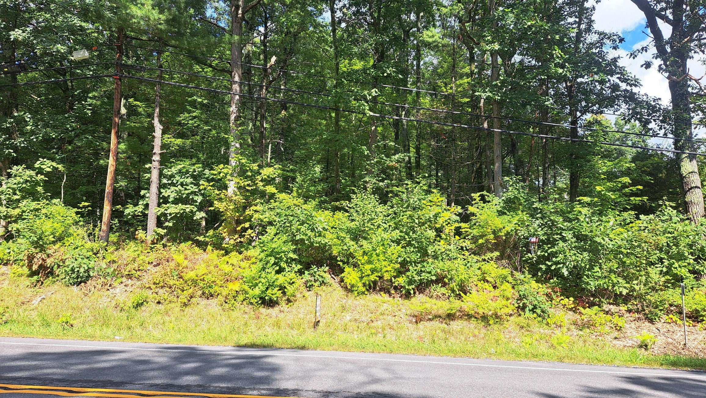 0 State Rte 3 Tupper Lake, NY 12986 - Photo 1 of 4 Gallery Image 1