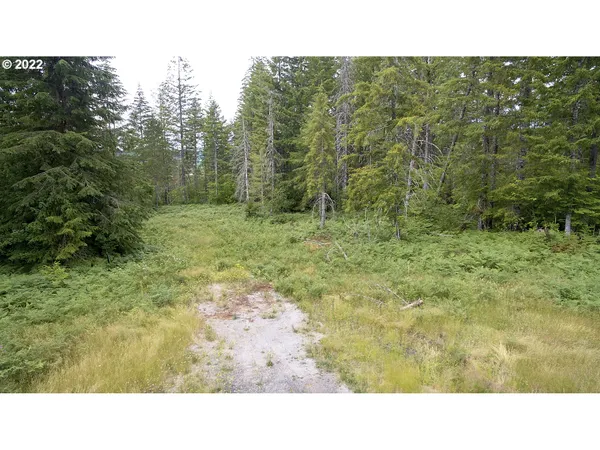 $50,000 | 1 Lahar Lane, Cougar, WA 98616