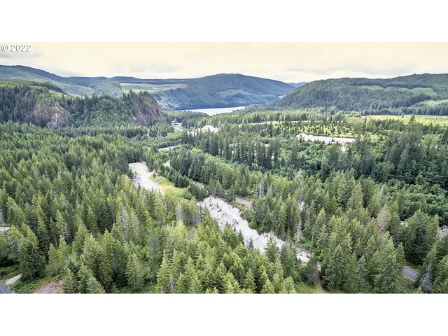 a open area with mountains in the background