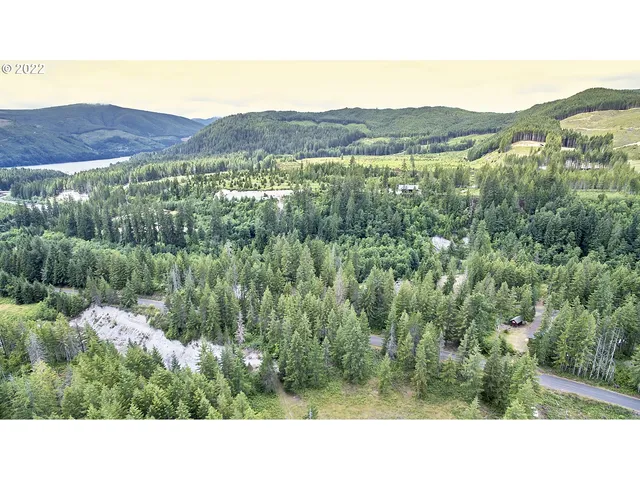 a open area with mountains in the background