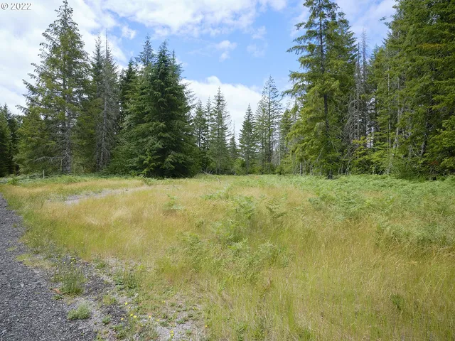 a view of a field with trees in the background