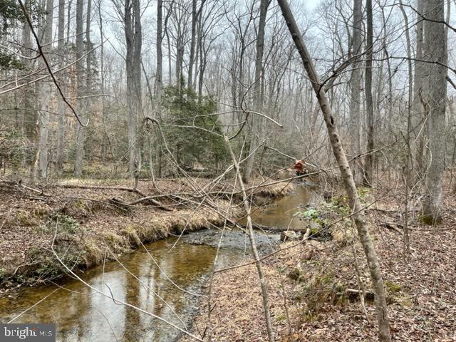 7575 Mason Springs Road Indian Head, MD 20640 - Photo 11 of 15 stream on the property