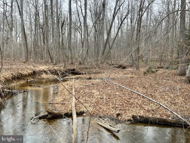 7575 Mason Springs Road Indian Head, MD 20640 - Photo 12 of 15 stream on the property
