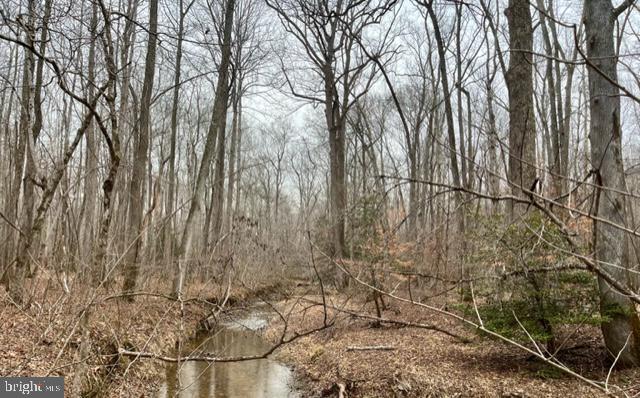 7575 Mason Springs Road Indian Head, MD 20640 - Photo 13 of 15 stream on the property