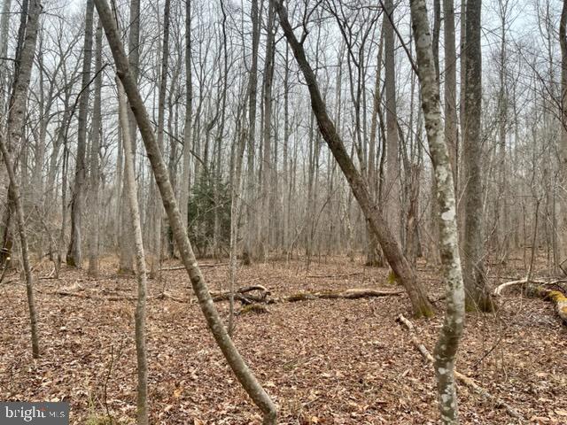 7575 Mason Springs Road Indian Head, MD 20640 - Photo 14 of 15