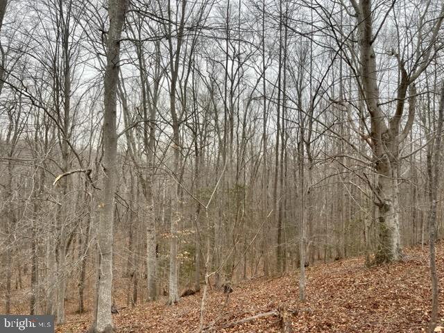 7575 Mason Springs Road Indian Head, MD 20640 - Photo 15 of 15