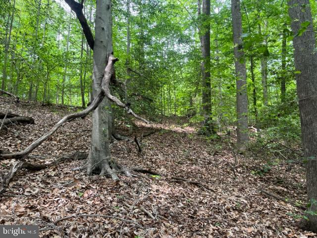 7575 Mason Springs Road Indian Head, MD 20640 - Photo 4 of 10 hillside