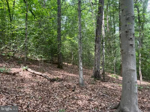 $99,950 | 7575 Mason Springs Road, Indian Head, MD 20640