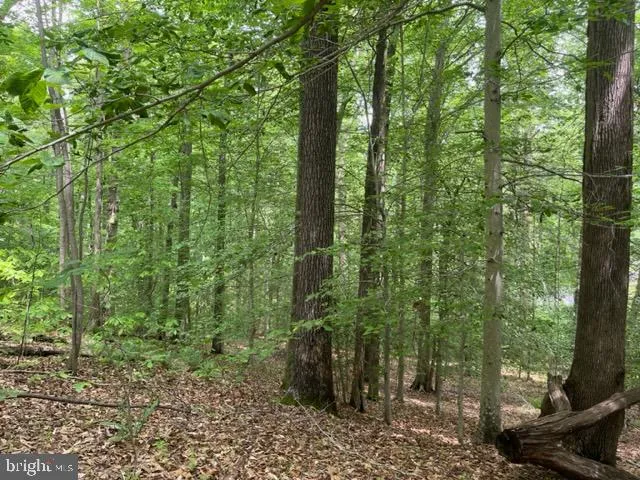 $99,950 | 7575 Mason Springs Road, Indian Head, MD 20640