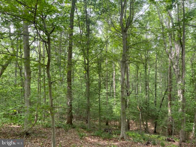 7575 Mason Springs Road Indian Head, MD 20640 - Photo 8 of 10 view looking dow the hill towards Jane Berry's Run